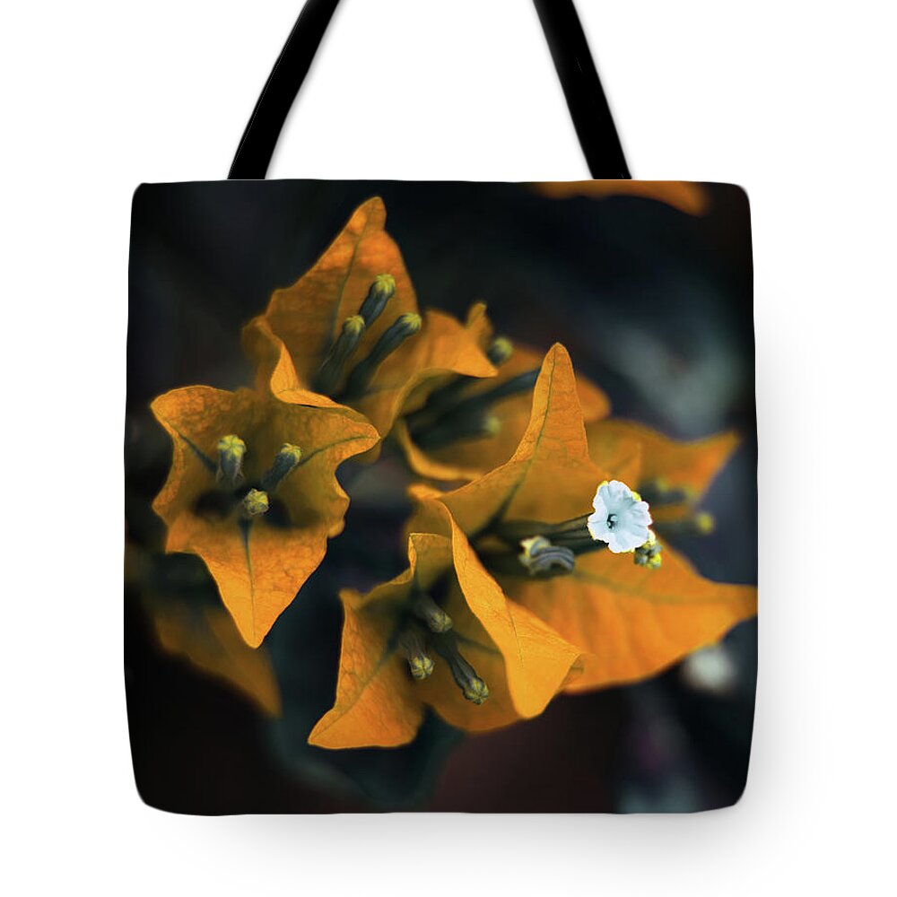 Bougainvillea Art Tote Bag featuring the photograph The Villea by Gian Smith