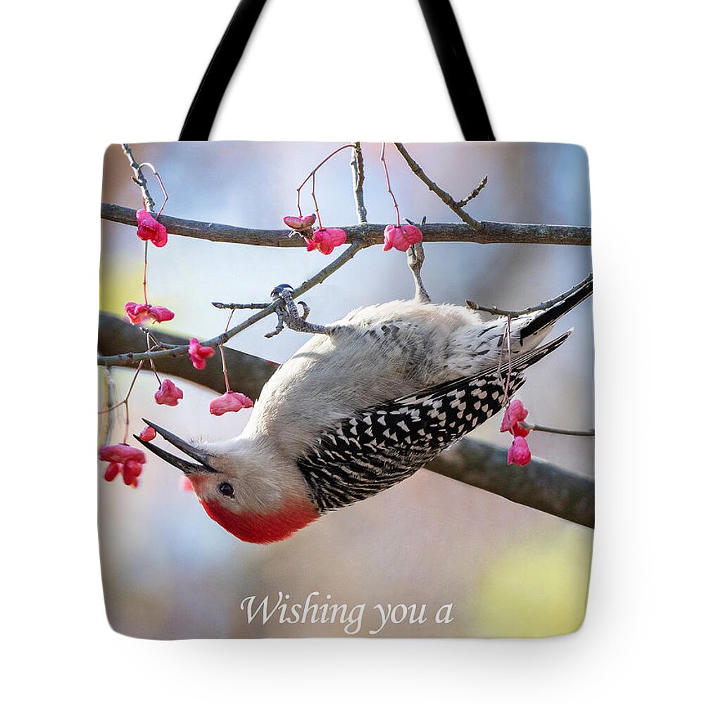 Red Bellied Woodpecker Tote Bag featuring the photograph The Warmest of Wises to you, and a Very Berry Day from the Red-bellied Woodpecker on the Wahoo Tree. by Sandra Rust