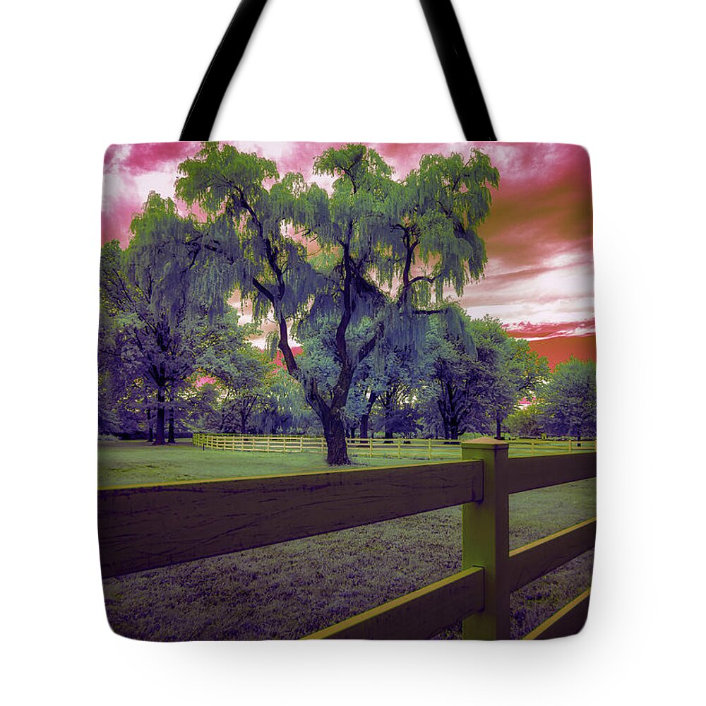 Infrared Photography Tote Bag featuring the photograph The Weeping Trees by Penny Polakoff