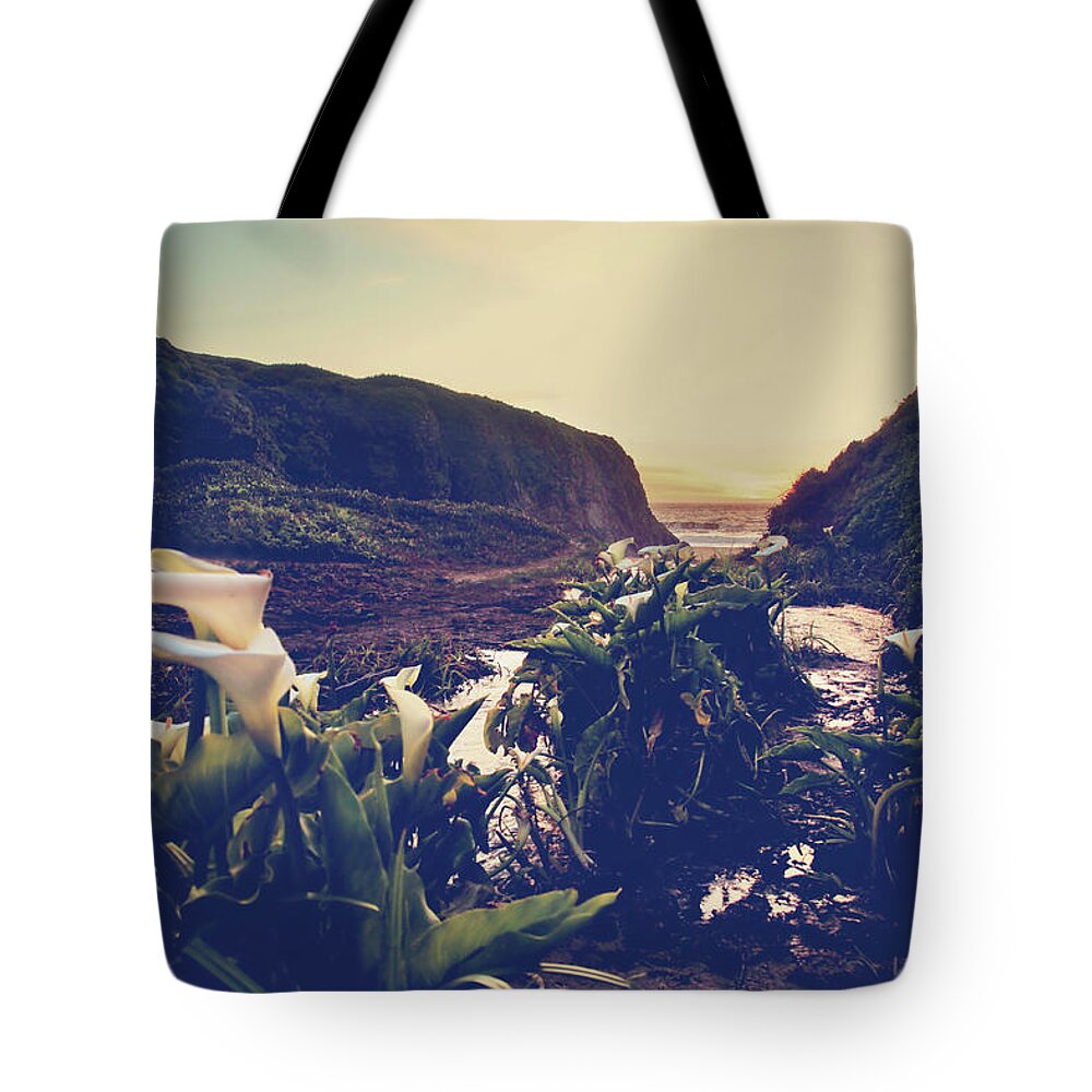 Garrapata State Beach Tote Bag featuring the photograph There is Harmony by Laurie Search