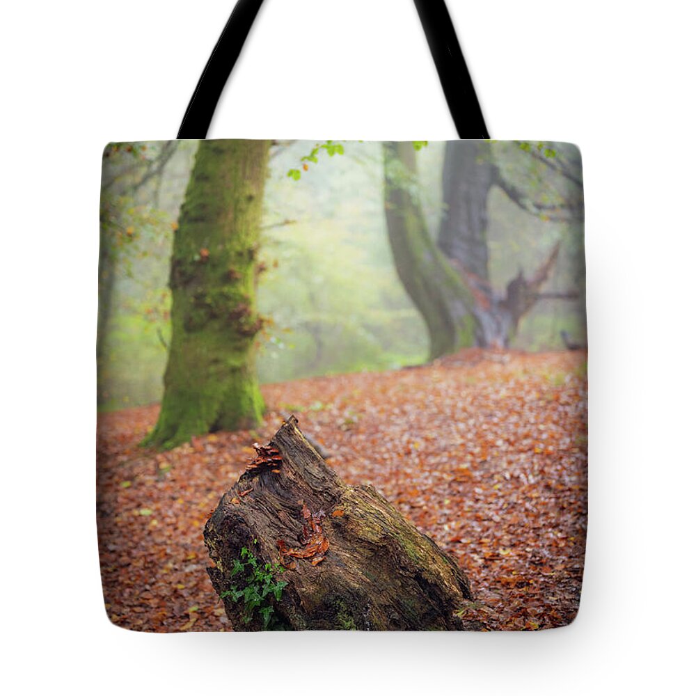 Autumn Tote Bag featuring the photograph This Autumn goes all the way to 11 by Gavin Lewis