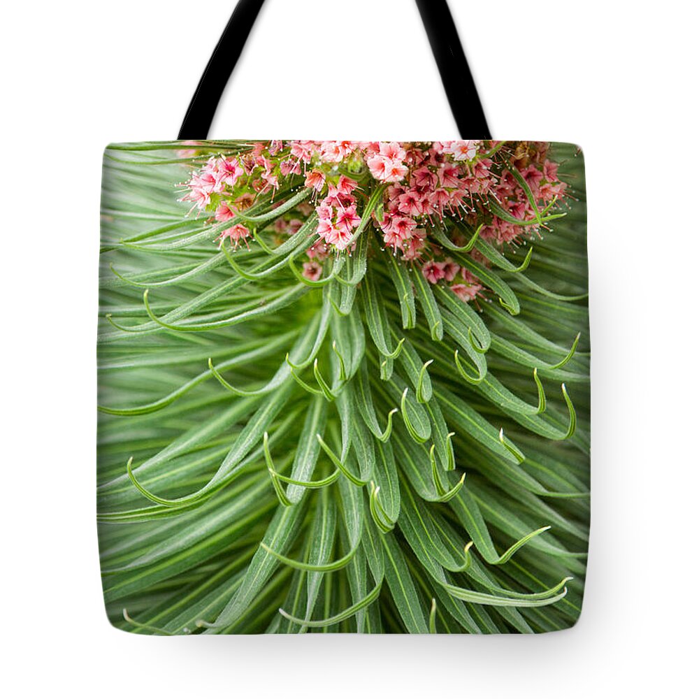 Conservatory Tote Bag featuring the photograph This Doesn't Look Like Kansas by Marilyn Cornwell
