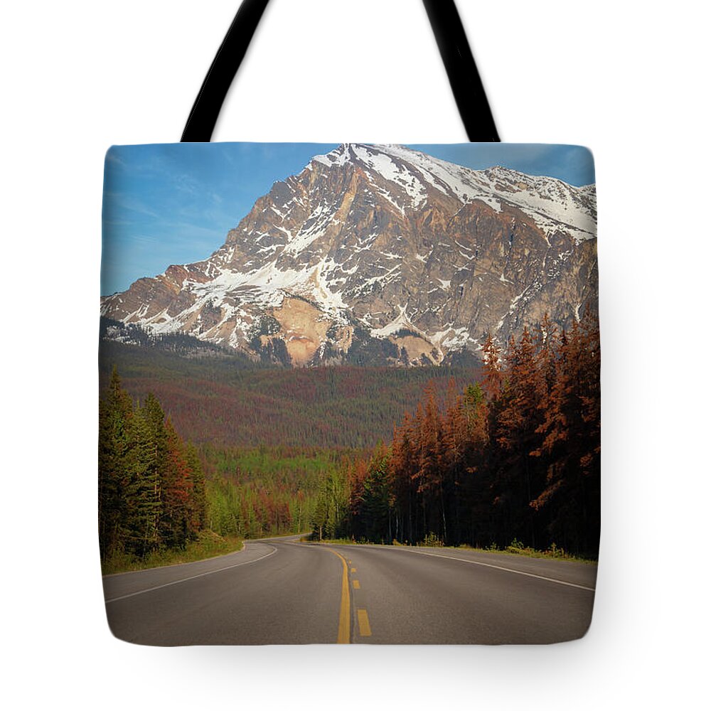 Alberta Tote Bag featuring the photograph This Way to the Mountain by Rick Deacon