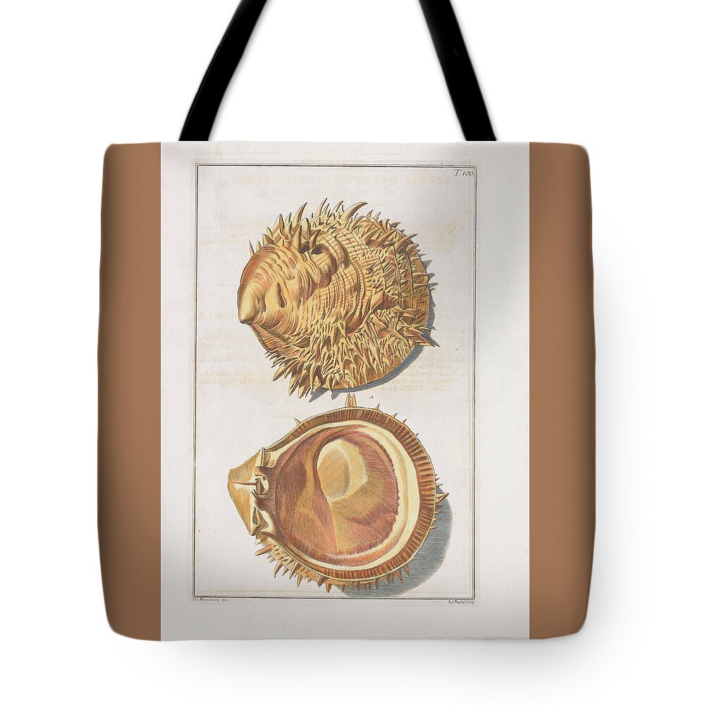 Thorny Oyster Tote Bag featuring the digital art Thorny Oyster -1742 by Kim Kent