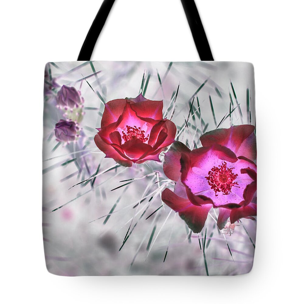 Cactus Tote Bag featuring the photograph Thorny Situation in Red by Missy Joy