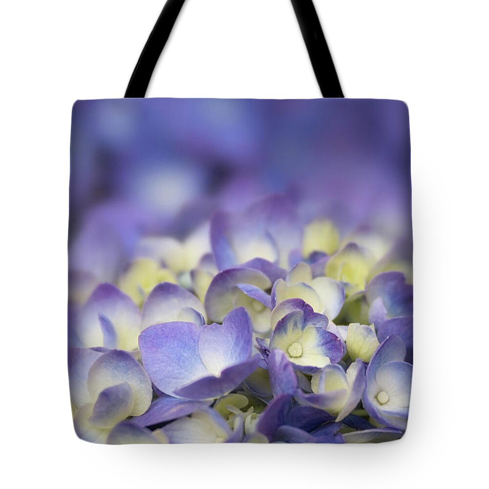 Nikko Blue Hydrangea Tote Bag featuring the photograph Thoughtful Sentiment by Amy Dundon