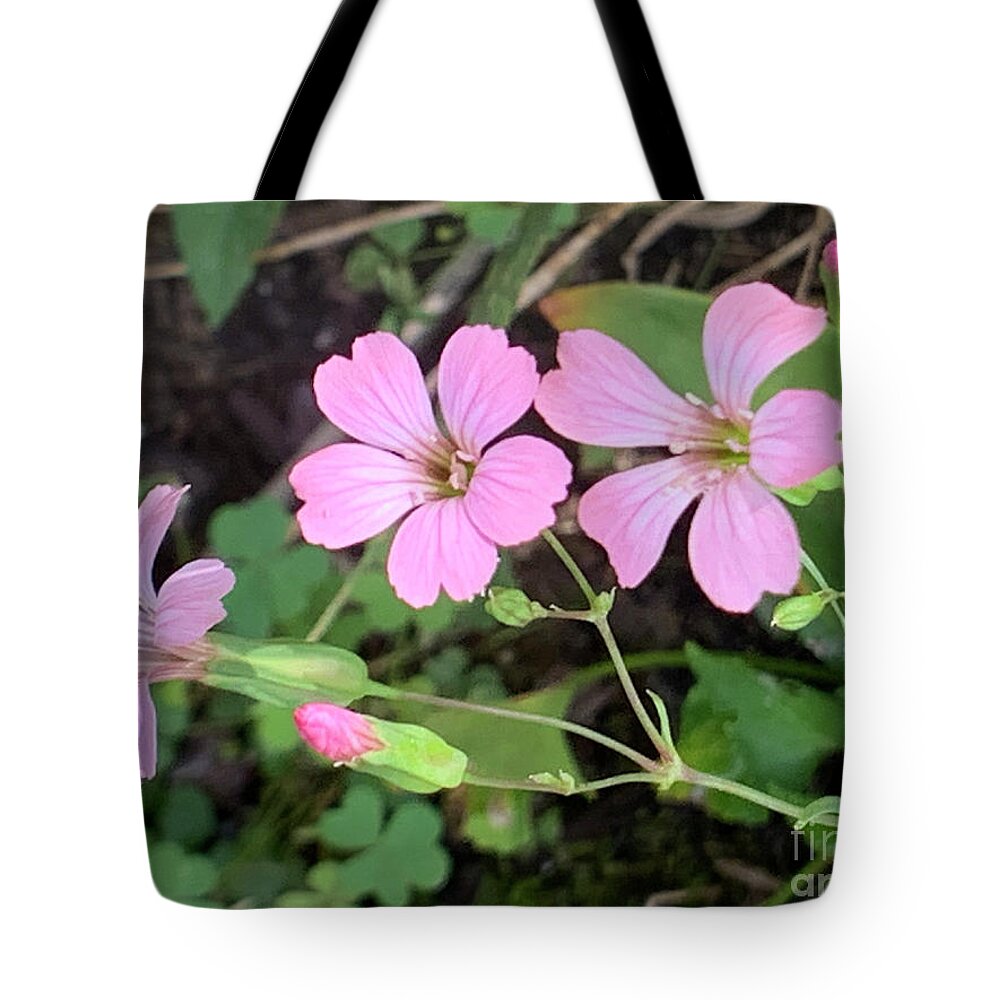 Flowers Tote Bag featuring the photograph Three Blooms by Catherine Wilson
