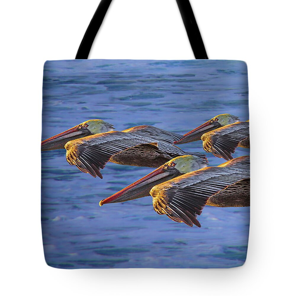 Gliding Tote Bag featuring the photograph Three Brown Pelicans at Sunset by Russ Harris