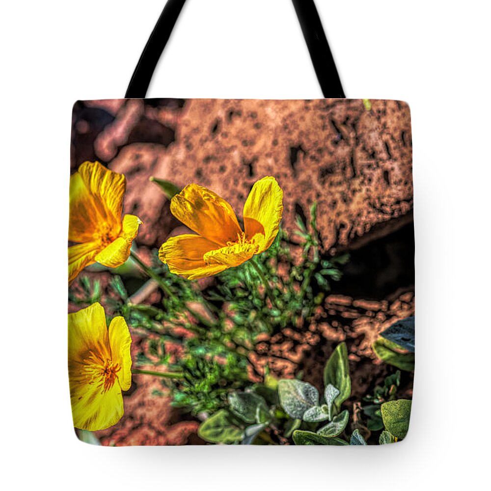 Landscape Tote Bag featuring the photograph Three Desert Poppies by Pamela Dunn-Parrish