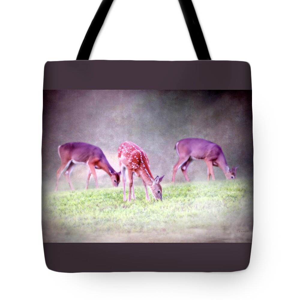 2d Tote Bag featuring the photograph Three Whitetail Grazing by Brian Wallace