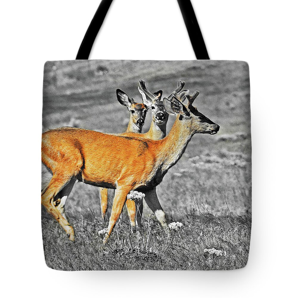 Bever Deer Ice Hous Tote Bag featuring the digital art Three Young Bucks by Fred Loring