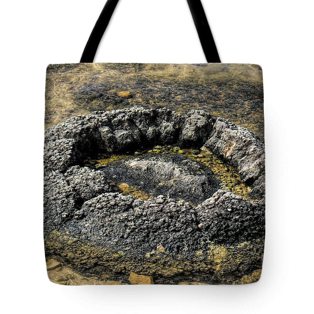 Stromatolites Tote Bag featuring the photograph Thrombolite by Elaine Teague