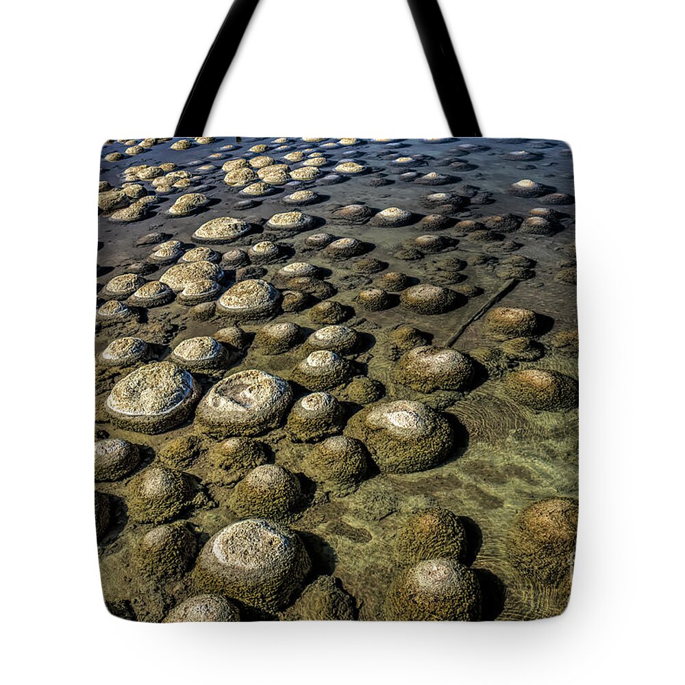 Nature Tote Bag featuring the photograph Thrombolites, Lake Clifton, Western Australia by Elaine Teague