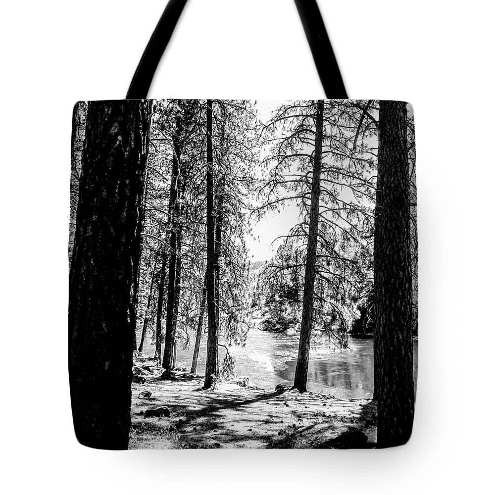 Trees Tote Bag featuring the photograph Through the Trees to the River by Amanda R Wright