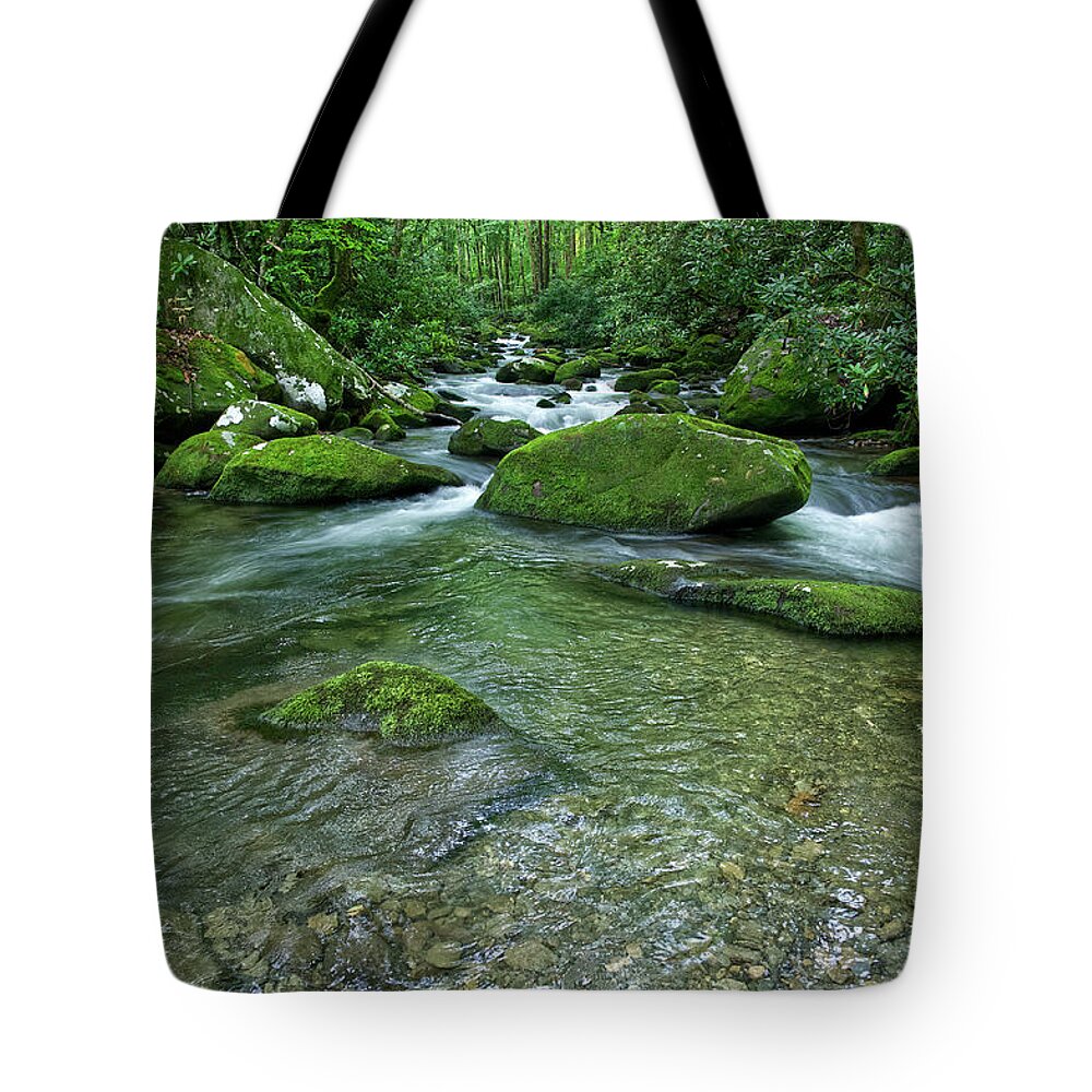 Smoky Mountains Tote Bag featuring the photograph Thunderhead Prong 20 by Phil Perkins