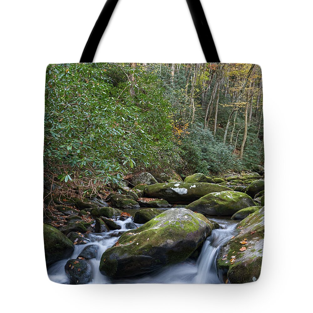 Smoky Mountains Tote Bag featuring the photograph Thunderhead Prong 27 by Phil Perkins