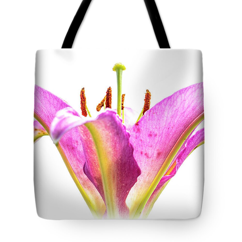 Lily Tote Bag featuring the photograph Tickled Pink by Carol Senske