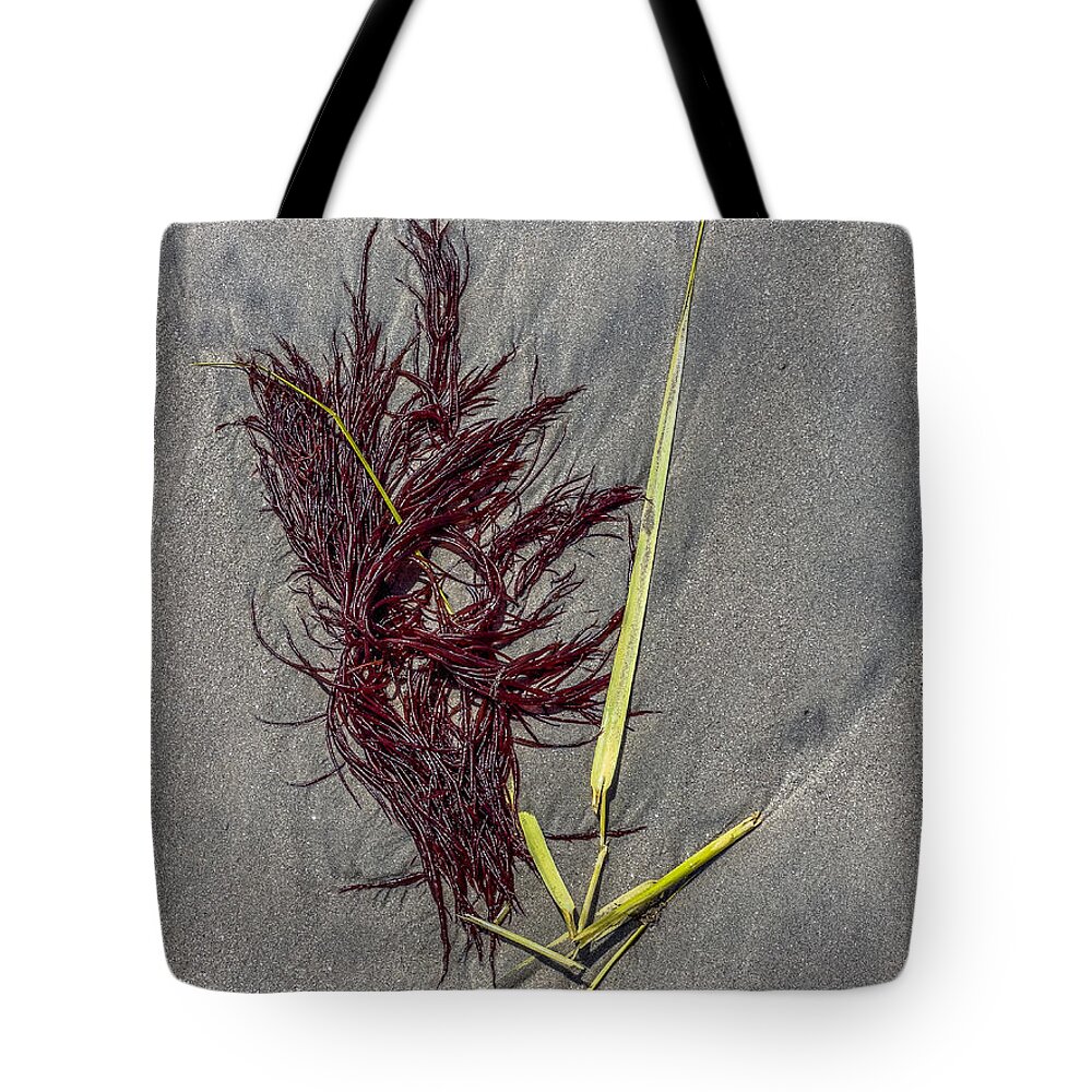 Seaweed Tote Bag featuring the photograph Tidal Abstract by Cate Franklyn