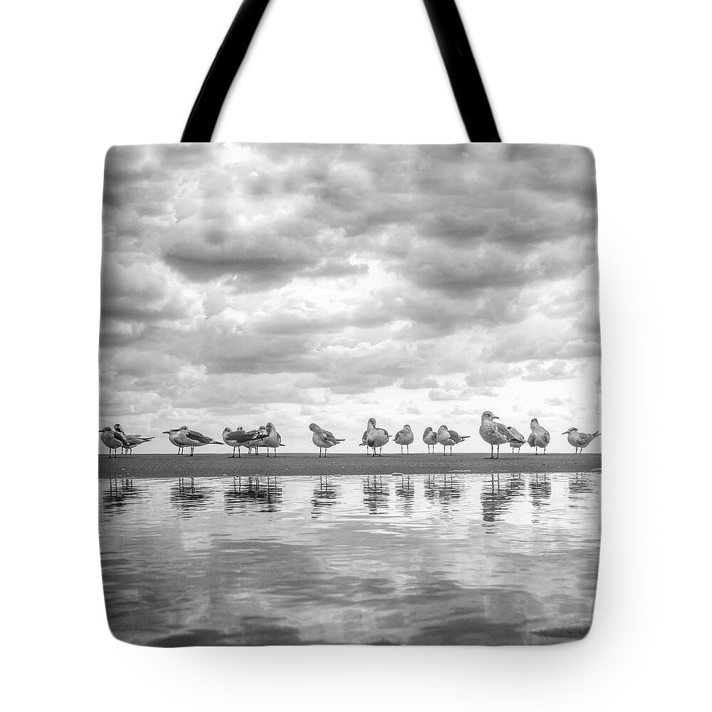 Black Tote Bag featuring the photograph Tidal Pools in Square Black and White by Debra and Dave Vanderlaan