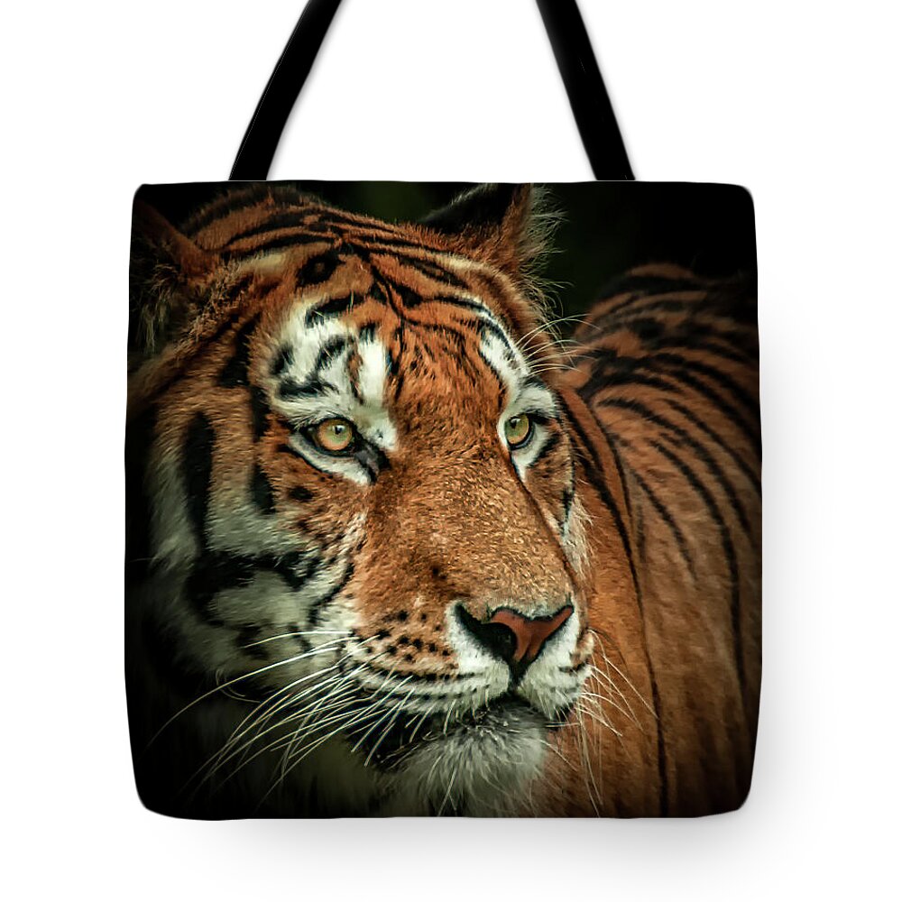 Tiger Tote Bag featuring the photograph Tiger by Chris Boulton