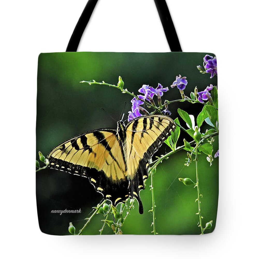 Tiger Swallowtail Tote Bag featuring the photograph Tiger Swallowtail On Duranta 16X9 by Nancy Denmark
