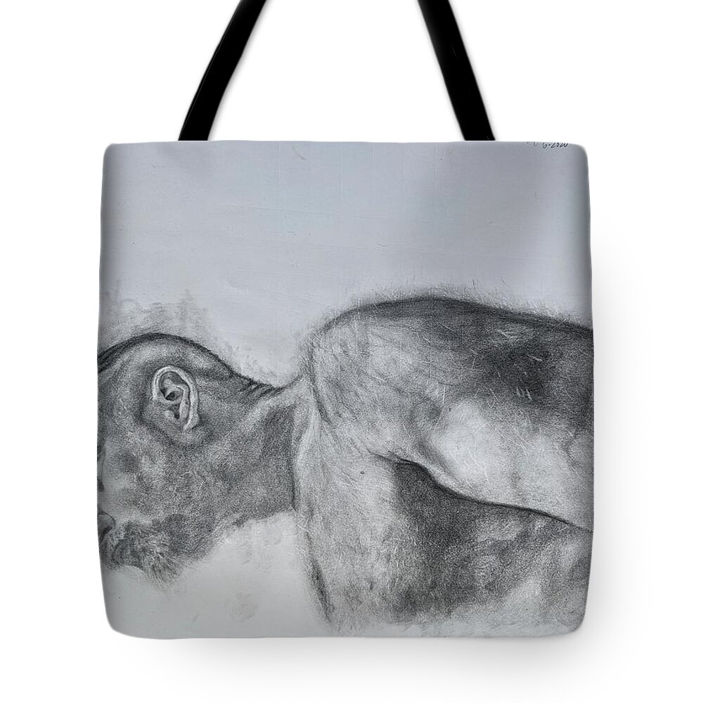 Male Tote Bag featuring the painting Tight narrow crack drawing 2 by Greg Hester