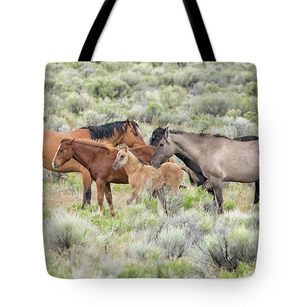 Wild Horses Tote Bag featuring the photograph Tightly Knit - A South Steens Band of Wild Horses by Belinda Greb