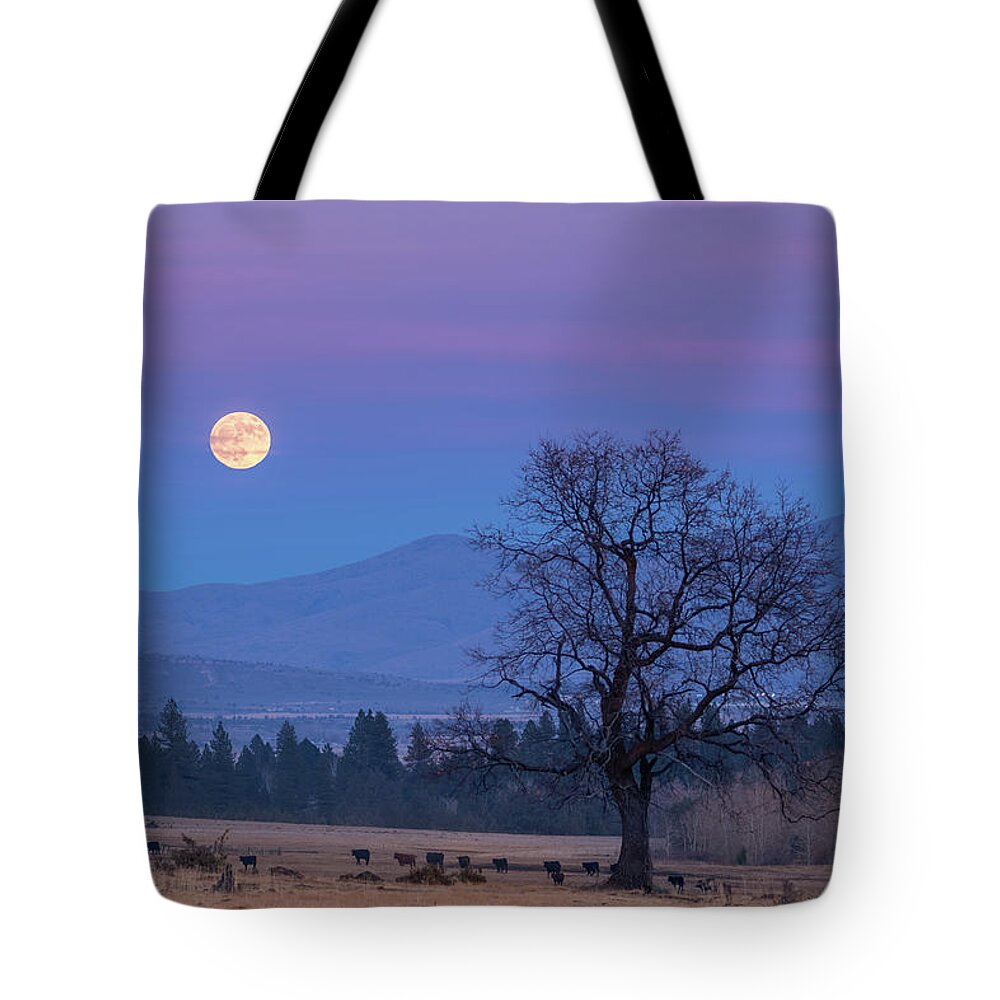 Moonrise Tote Bag featuring the photograph Till the Cows Come Home by Randy Robbins