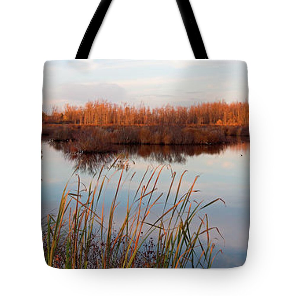 Preserve Tote Bag featuring the photograph Tillman Preserve by Don Nieman