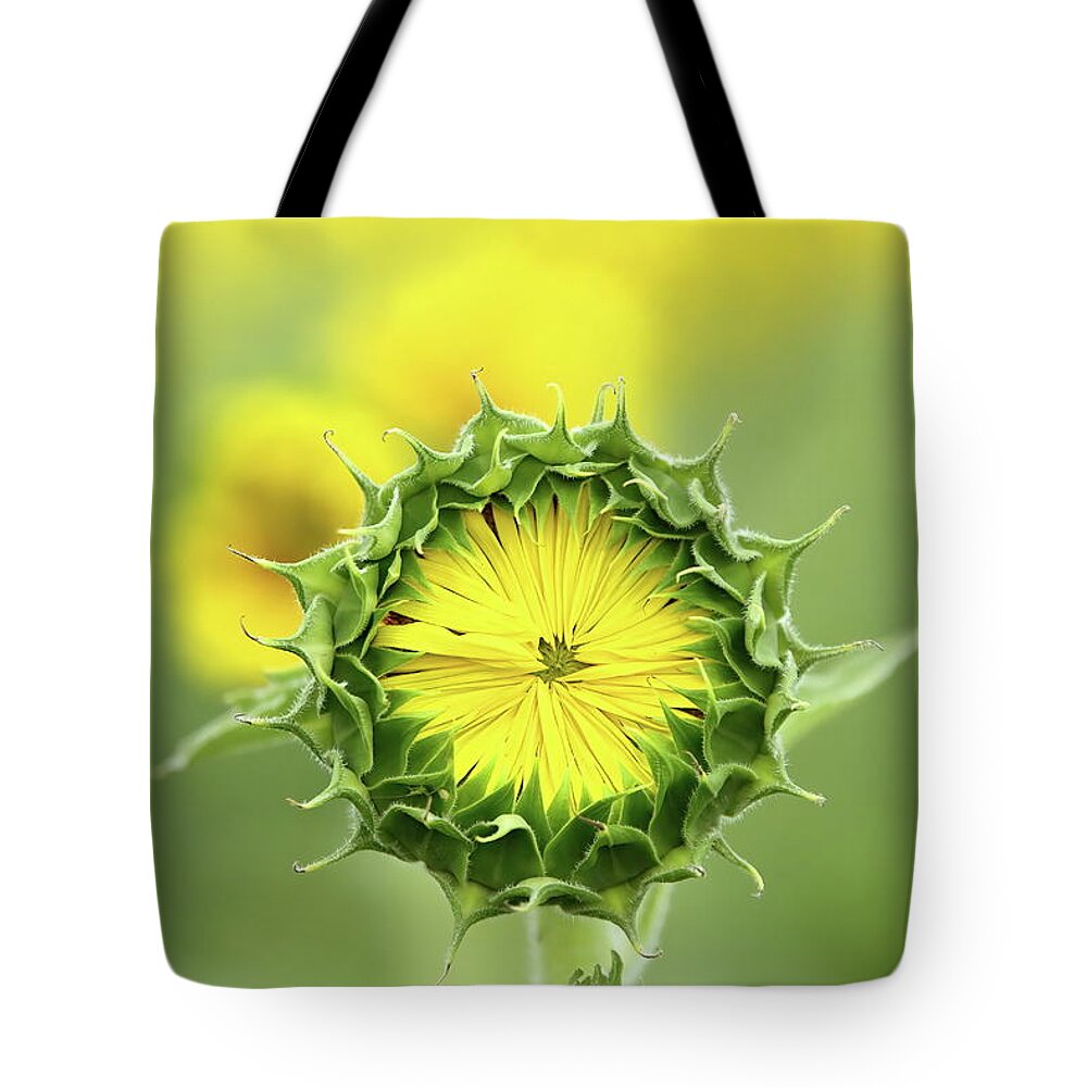 Sunflower Tote Bag featuring the photograph Time To Wake Up by Lens Art Photography By Larry Trager