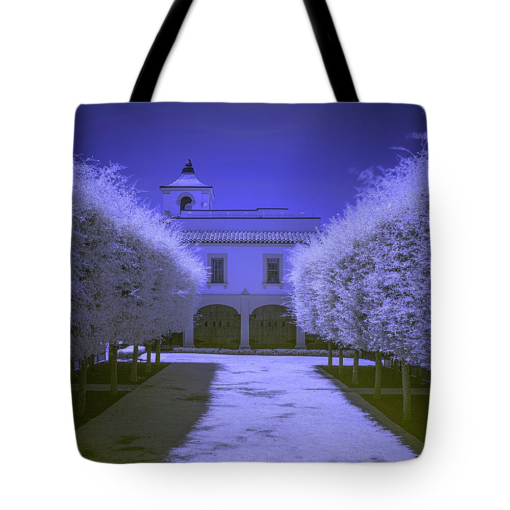 Palm Beach Tote Bag featuring the photograph Timeless Palm Beach by Roberto Aloi