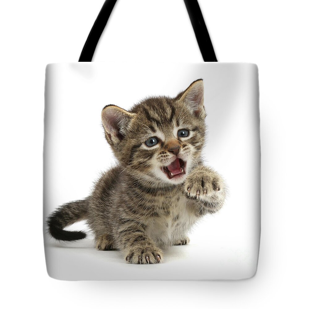 Small Tote Bag featuring the photograph Tiny Tiger is Fierce by Warren Photographic
