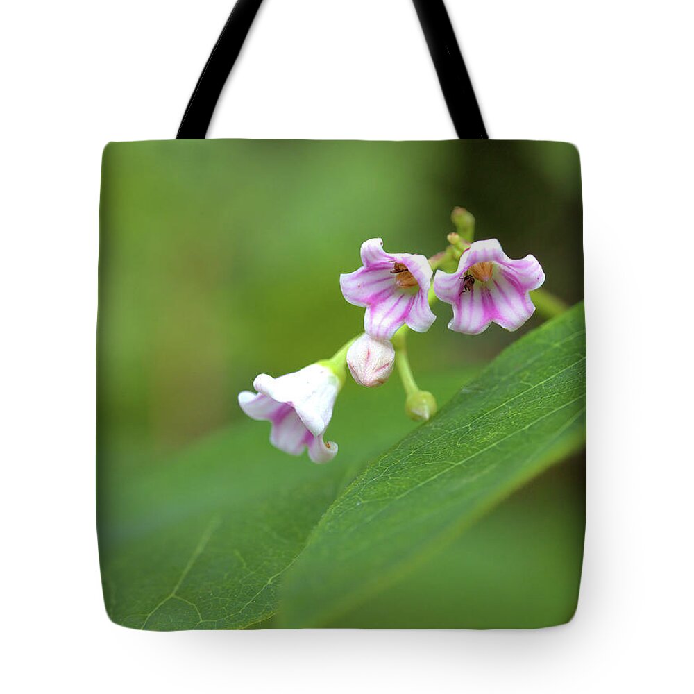 Wildflowers Tote Bag featuring the photograph Tiny Wildflowers by Bob Falcone