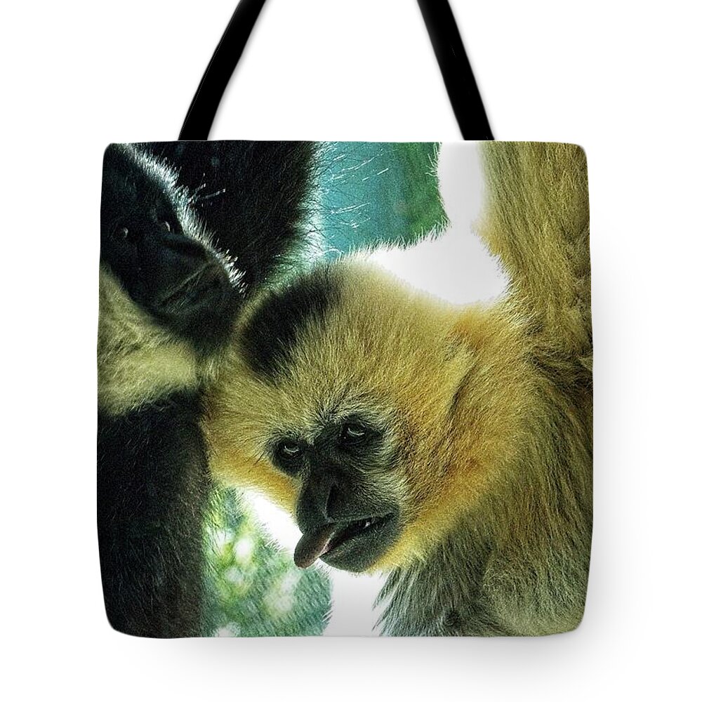 Animal Tote Bag featuring the photograph Tired Of Hanging by David Desautel