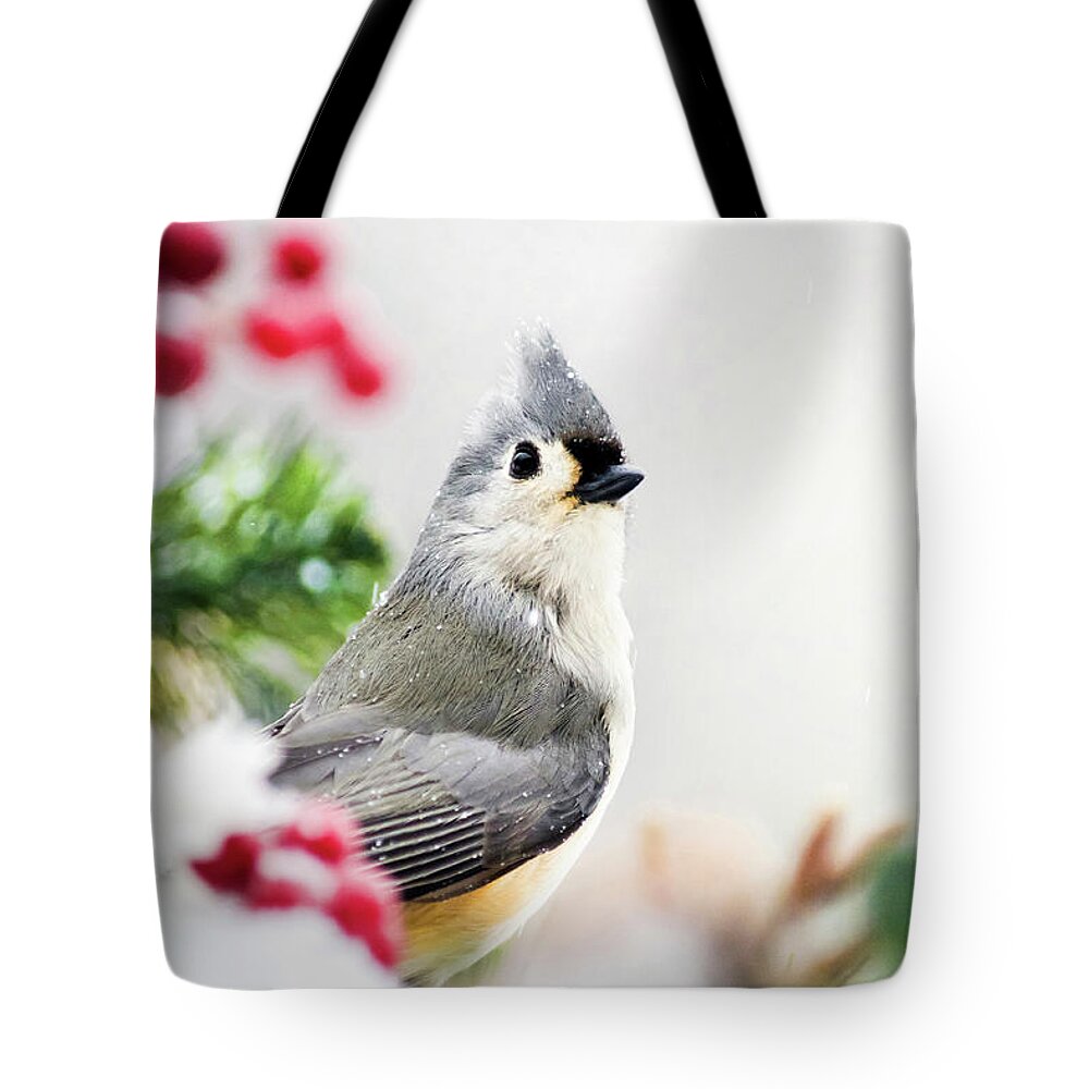 Birds Tote Bag featuring the photograph Titmouse Bird Portrait by Christina Rollo