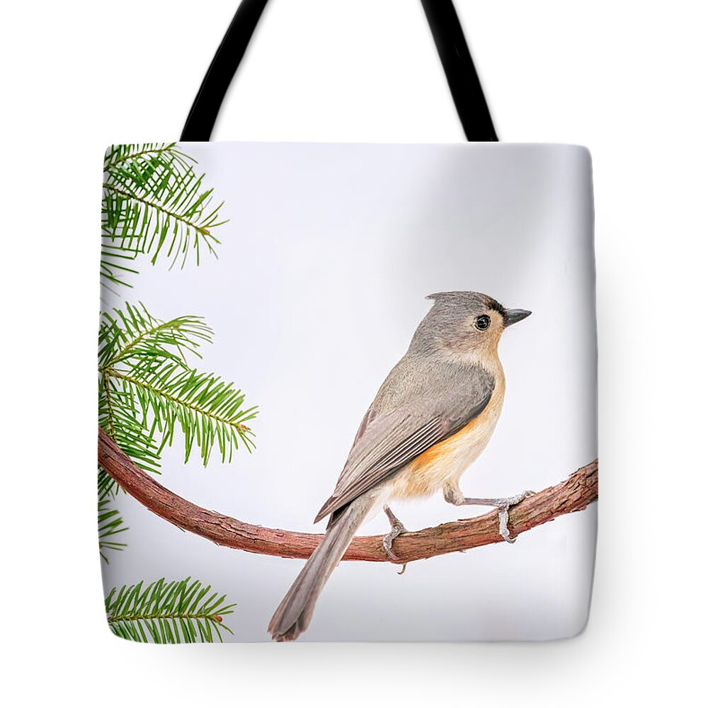 Bird Tote Bag featuring the photograph Titmouse Tranquility by Peg Runyan