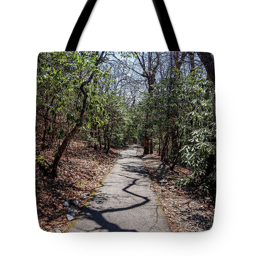 Brasstown Bald Tote Bag featuring the photograph To The Brasstown Summit by Ed Williams
