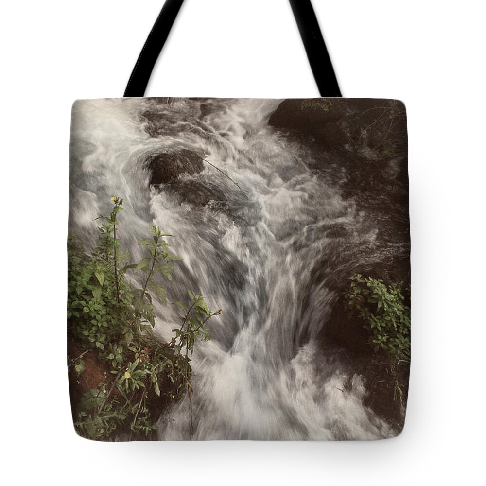 Israel Tote Bag featuring the photograph To The Jordan River by M Kathleen Warren