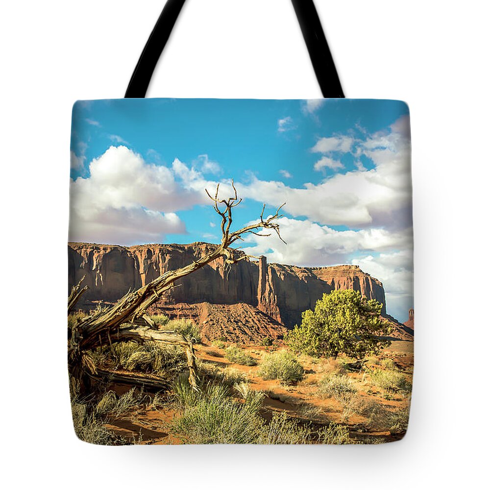 Scenic Landscapes Tote Bag featuring the photograph Toll Of The Desert by John Bartelt