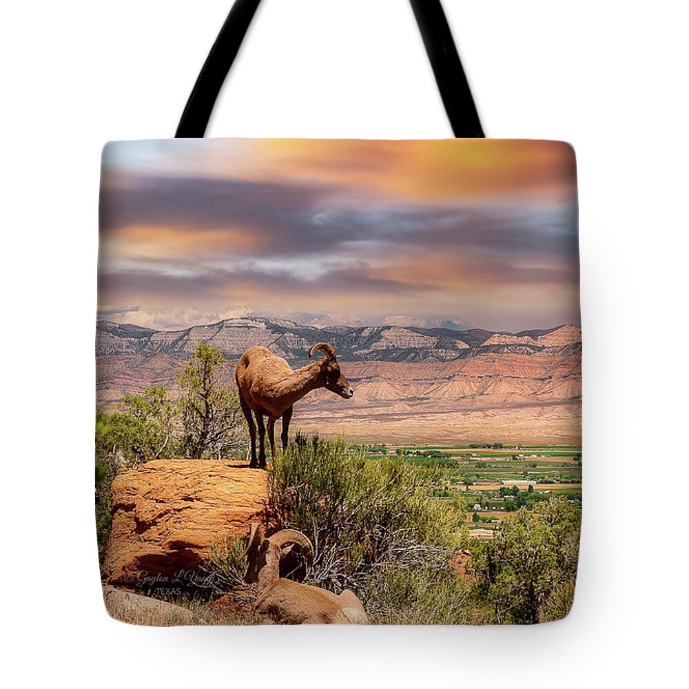 Goat Tote Bag featuring the photograph Tom Brady by G Lamar Yancy