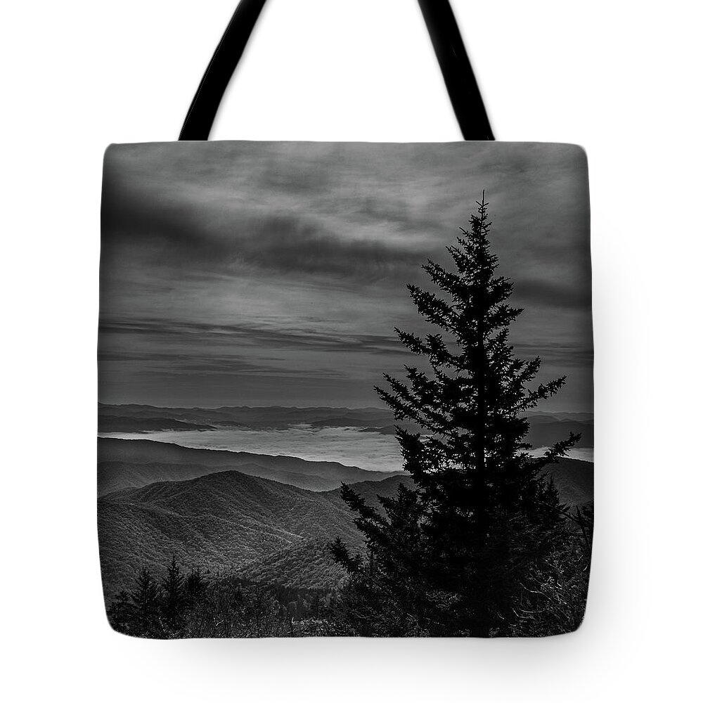 Tree Tote Bag featuring the photograph Top of the world by Jamie Tyler