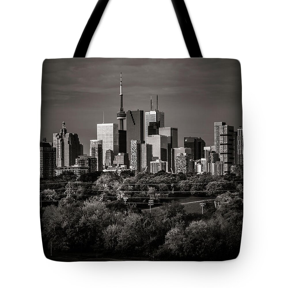 Brian Carson Tote Bag featuring the photograph Toronto Skyline From Riverdale Park No 6 by Brian Carson