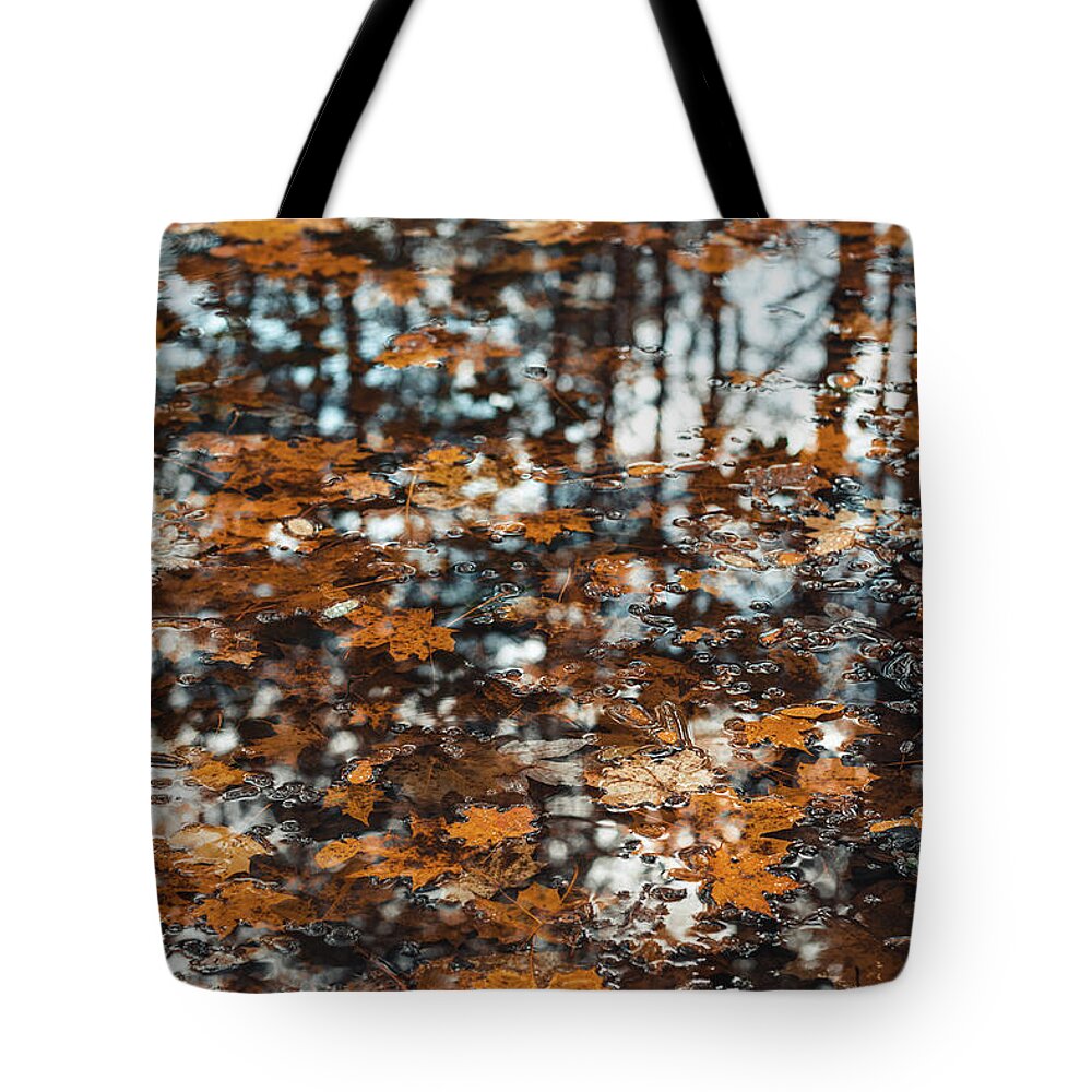 Wave Tote Bag featuring the photograph Touch of autumn colors by Vaclav Sonnek