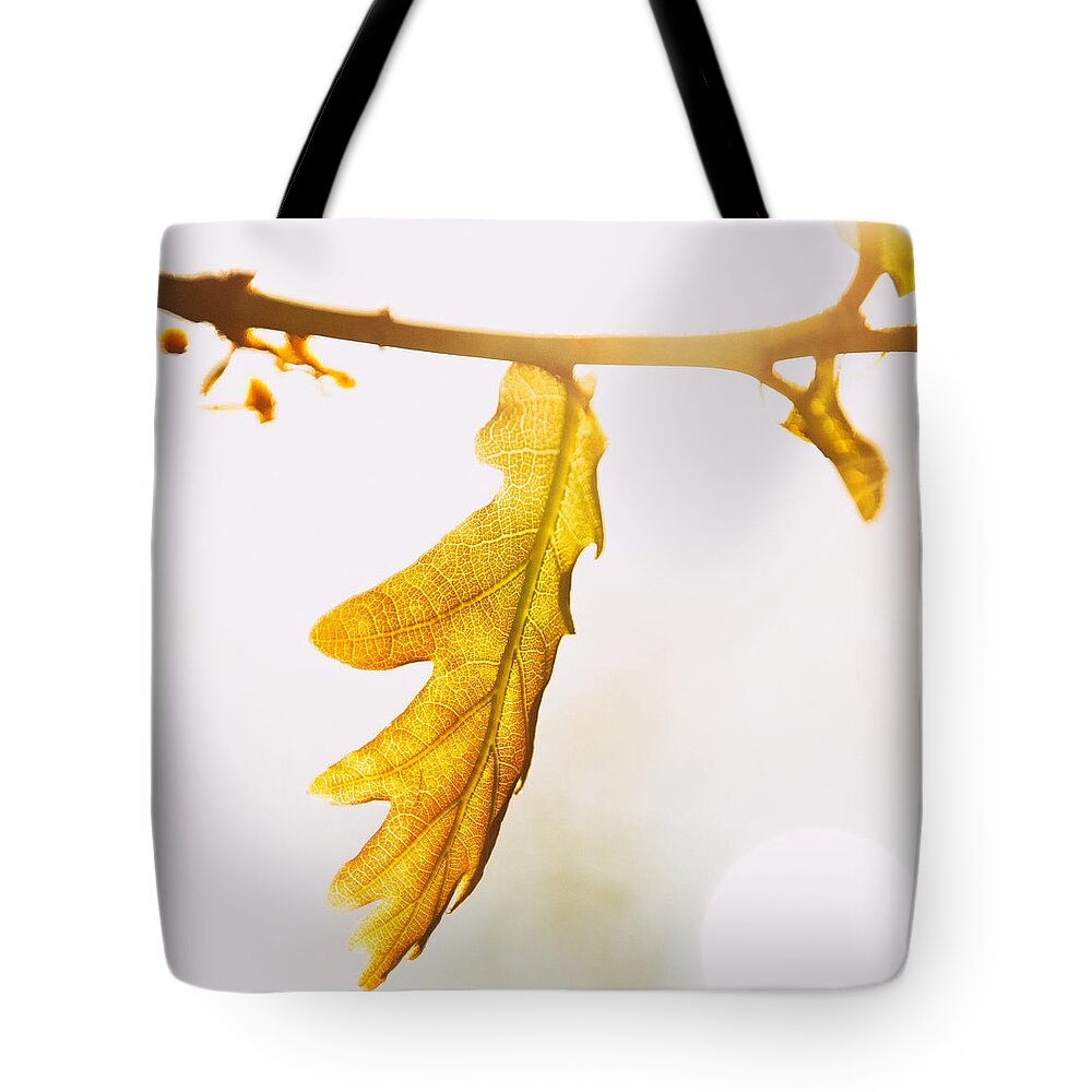 Wind Tote Bag featuring the photograph Touch of sun 2 by Jaroslav Buna