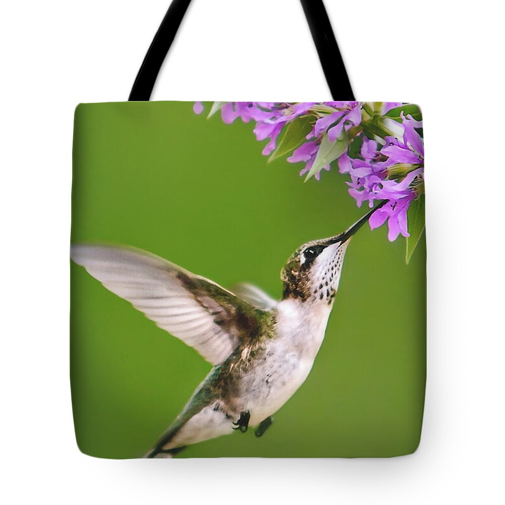 Hummingbird Tote Bag featuring the digital art Touched Hummingbird by Christina Rollo