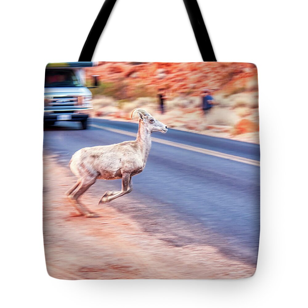 Tourists Tote Bag featuring the photograph Tourists intrusion in nature by Tatiana Travelways