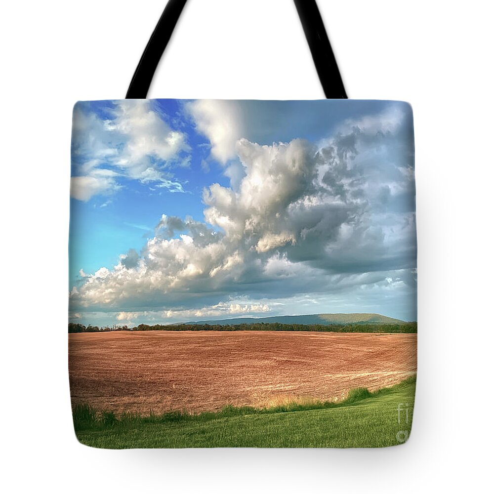 Harpers Ferry Tote Bag featuring the photograph Toward The Harpers Ferry Gap by Lois Bryan