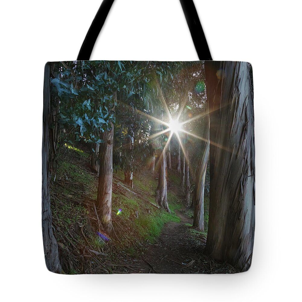 Don Castro Regional Park Tote Bag featuring the photograph Towards the Light by Laurie Search