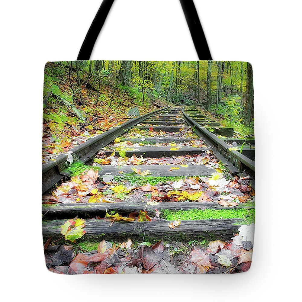 Blue Ridge Parkway Tote Bag featuring the photograph Tracks by Nunweiler Photography