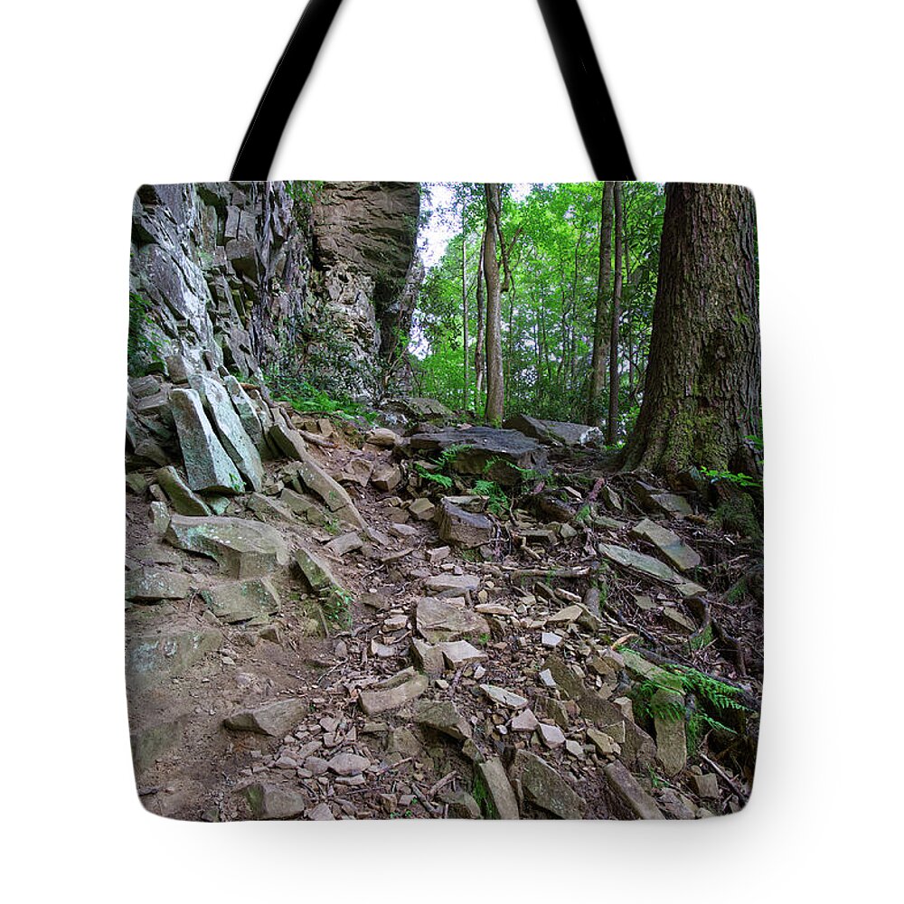 Ozone Falls Tote Bag featuring the photograph Trail at Ozone Falls 3 by Phil Perkins